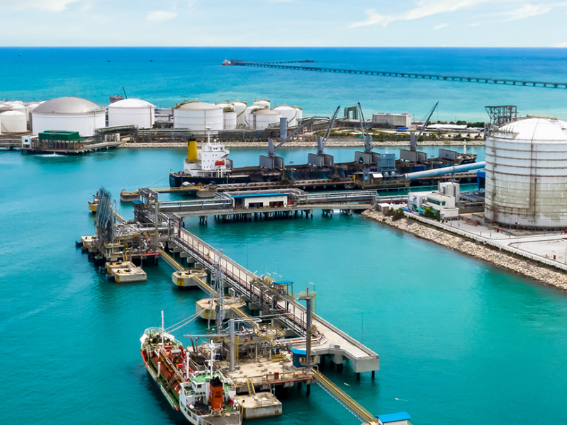 Port Facility Security Plan Audits - Preparing For Government And Flag State Inspections